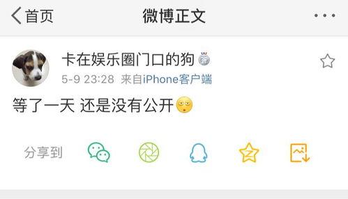 爆料吃瓜图片,吃瓜群众眼中的明星幕后真相